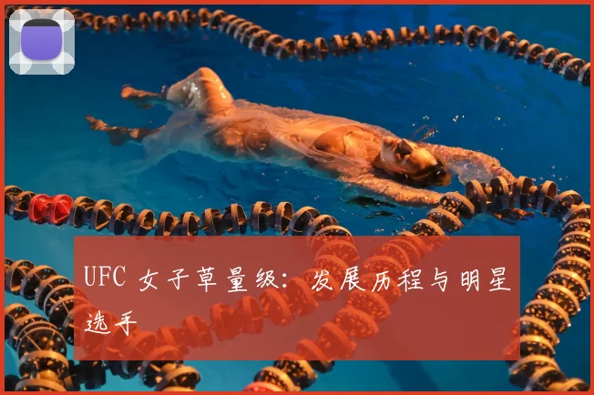 UFC 女子草量级：发展历程与明星选手